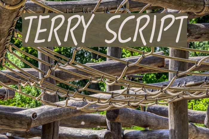 Terry Script Font examples