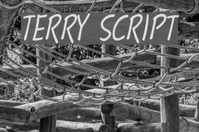 Terry Script フォント examples