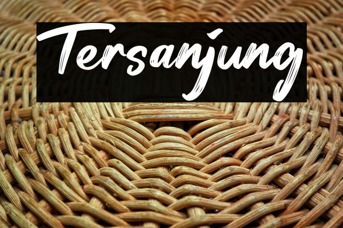 Tersanjung Example 2