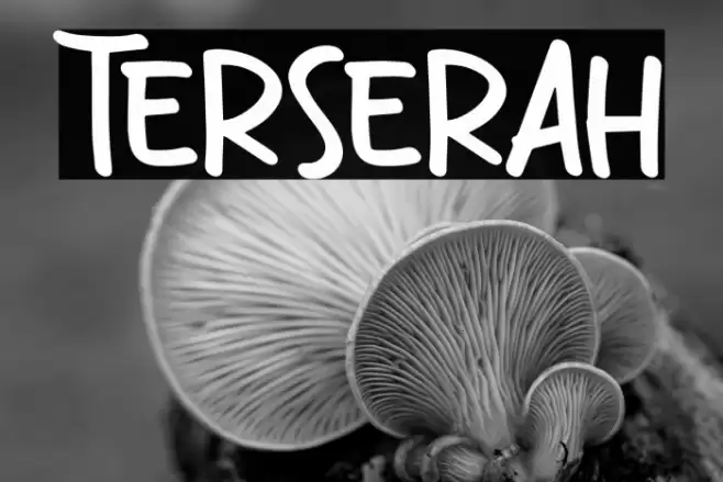 Terserah Font examples