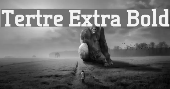 Tertre Extra Bold Font examples
