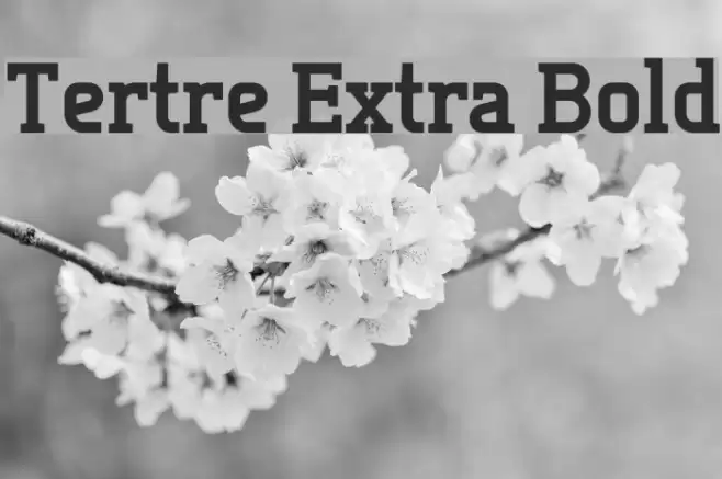 Tertre Extra Bold Font examples