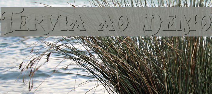 Tervia Shadow Demo Font examples