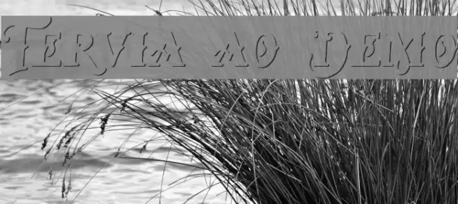 Tervia Shadow Demo Font examples