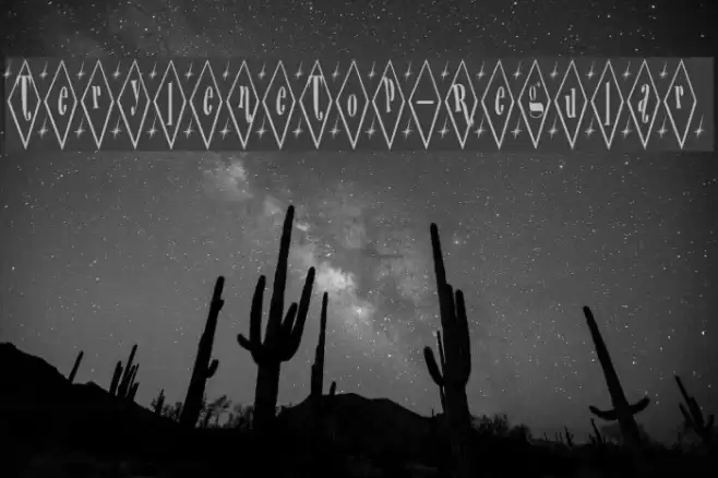 TeryleneTop-Regular Font examples