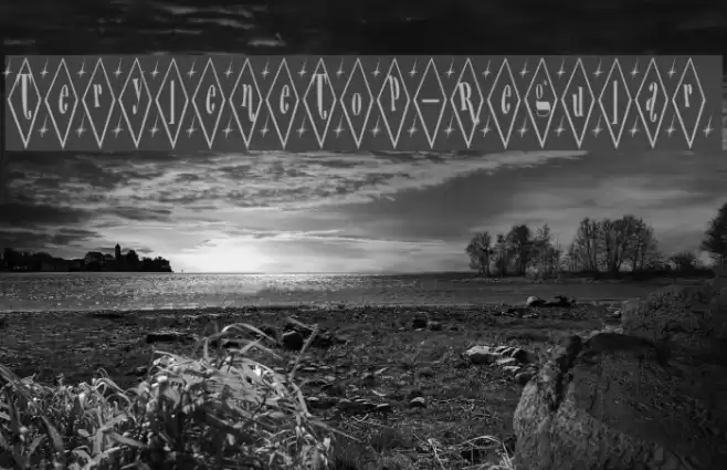 TeryleneTop-Regular Font examples