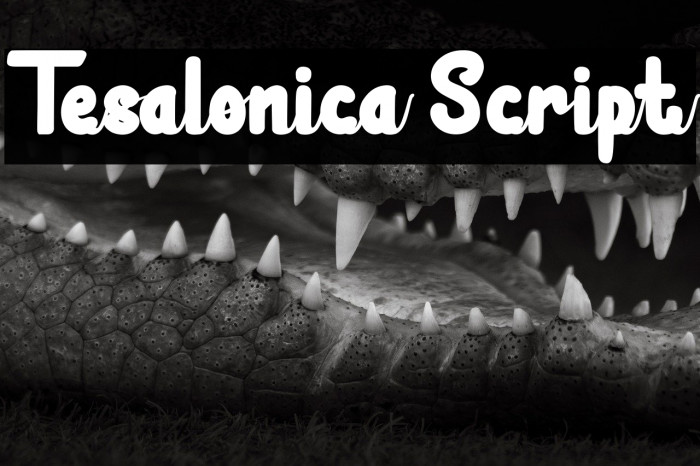 Tesalonica Script Example 2