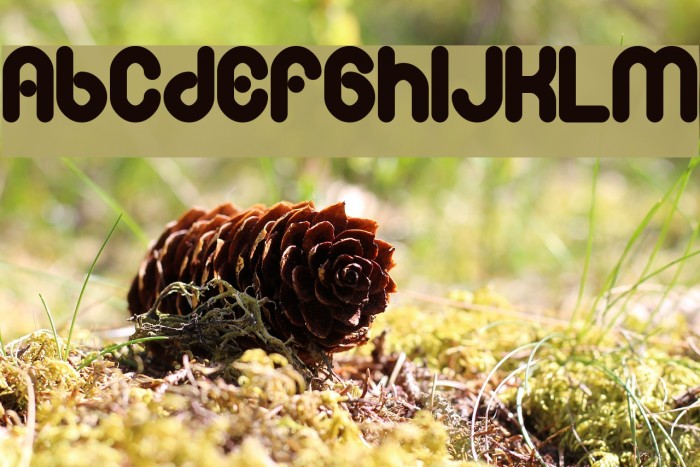 Tesh Font examples