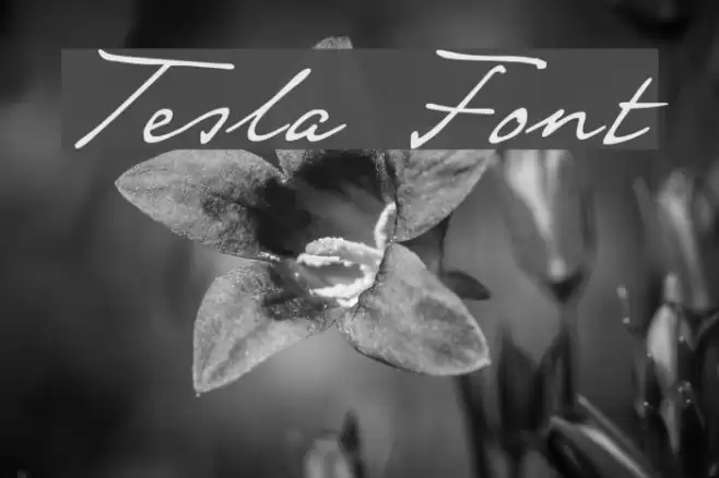 Tesla Font examples