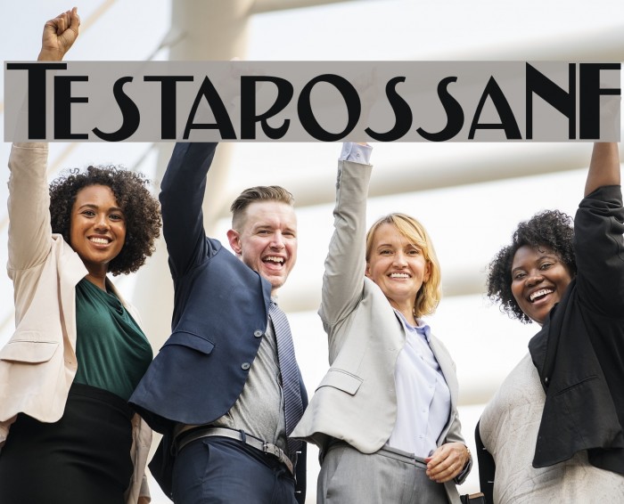 TestarossaNF Schriftart examples