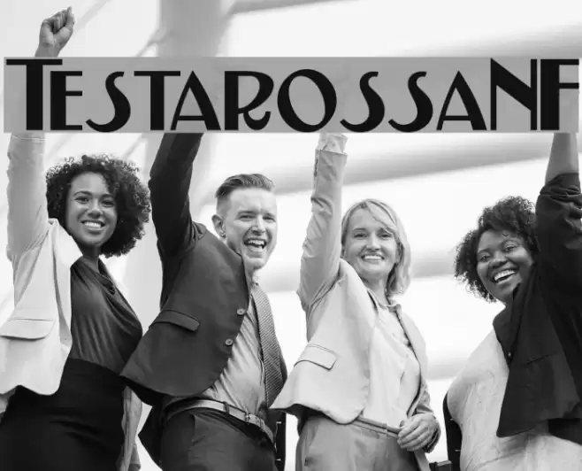 TestarossaNF Schriftart examples