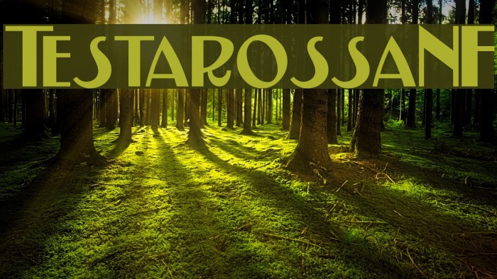 TestarossaNF Schriftart examples