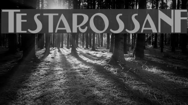 TestarossaNF Schriftart examples
