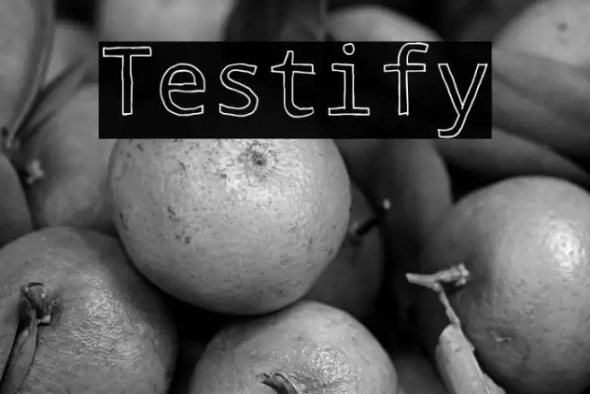 Testify Font examples