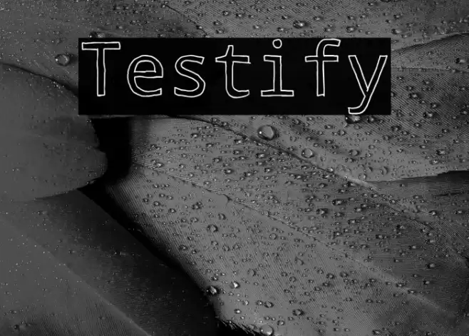Testify Font examples