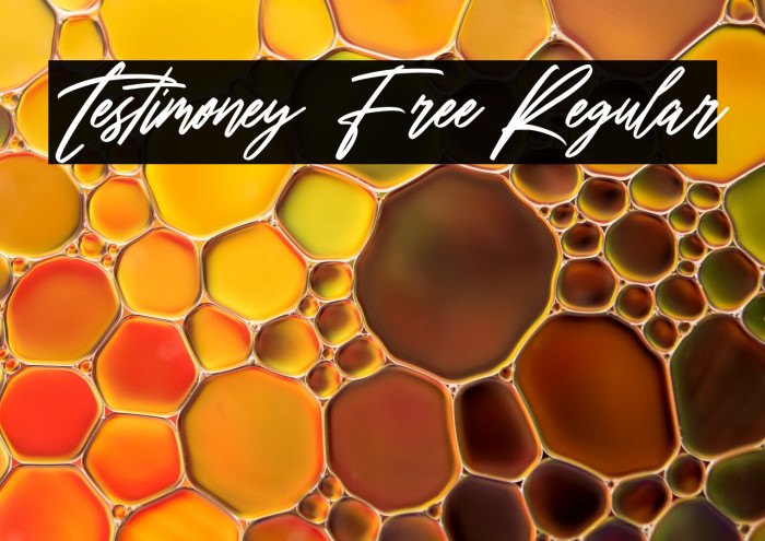 Testimoney Free Regular Example 2