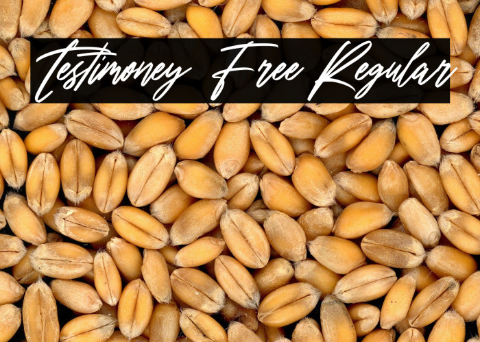 Testimoney Free Regular Example 3