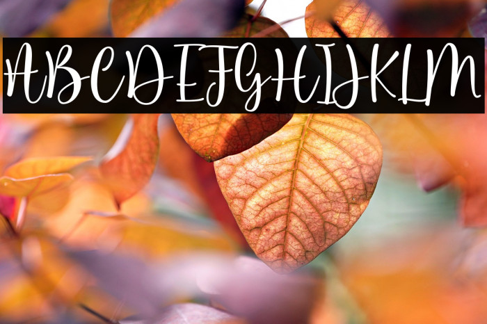 TestimoneyFree Example 2