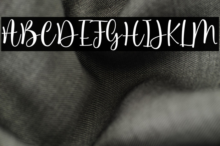 TestimoneyFree Example 3