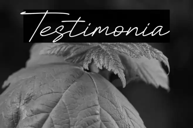 Testimonia Font examples