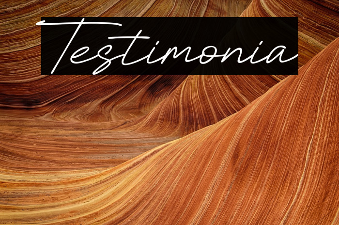 Testimonia Example 3