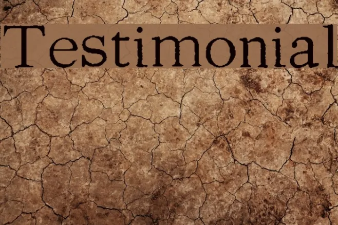 Testimonial Example 1