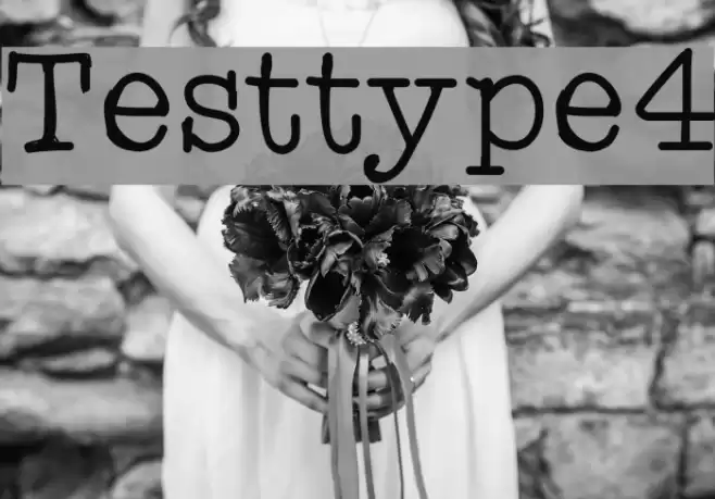 Testtype4 Font examples