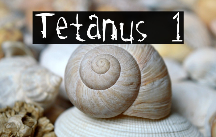 Tetanus 1 Example 1