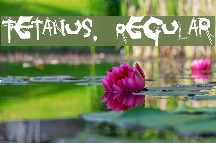 Tetanus, Regular Font examples