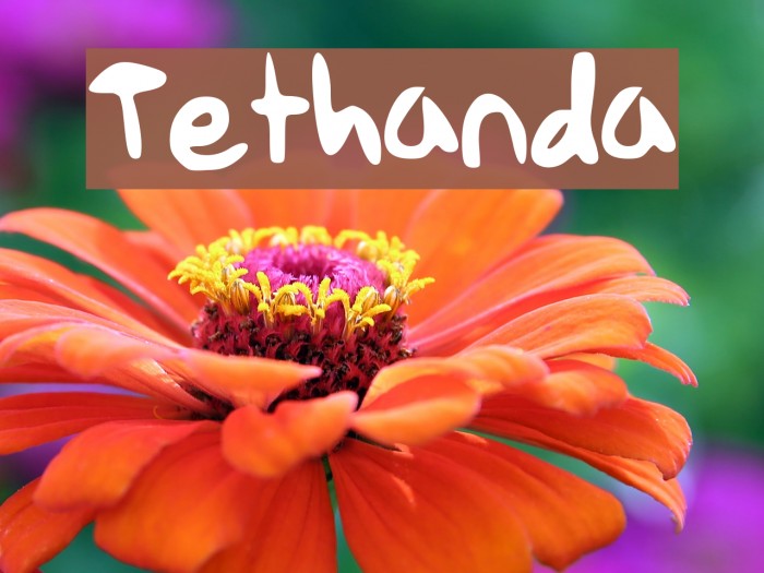 Tethanda Font examples