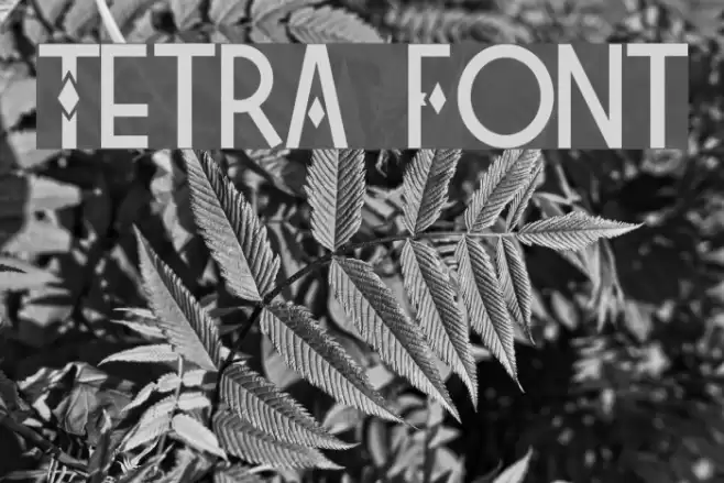 Tetra Font examples