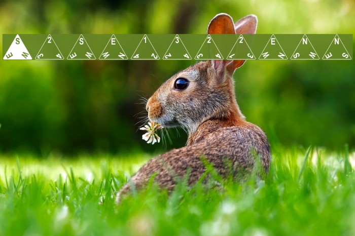 Tetrahedron Example 3