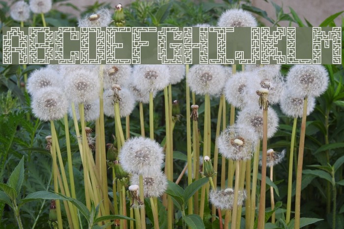 Tetricide [BRK] Example 1