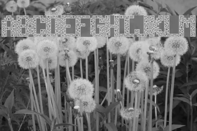 Tetricide [BRK] Font examples