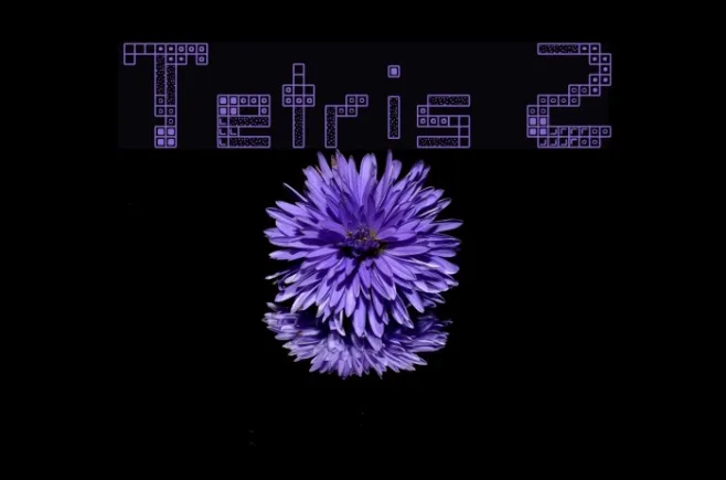 Tetris 2 Example 3