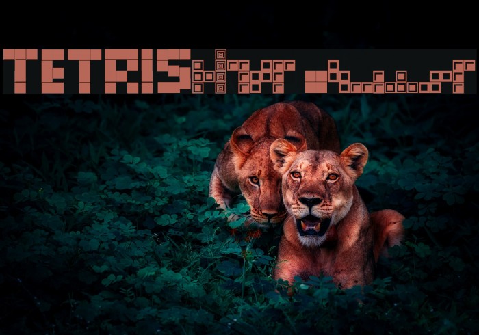 Tetris Blocks Font examples