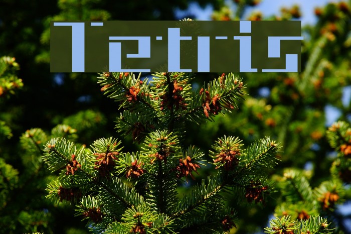Tetris Font examples
