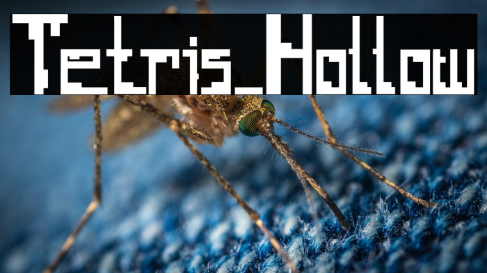 Tetris_Hollow Example 1