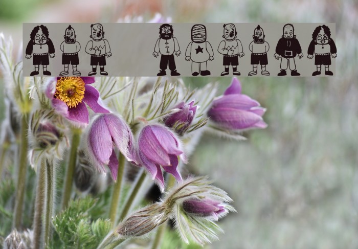 Teubé Tribute Example 1