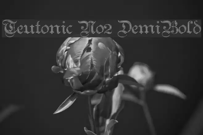 Teutonic No2 DemiBold Fonte examples