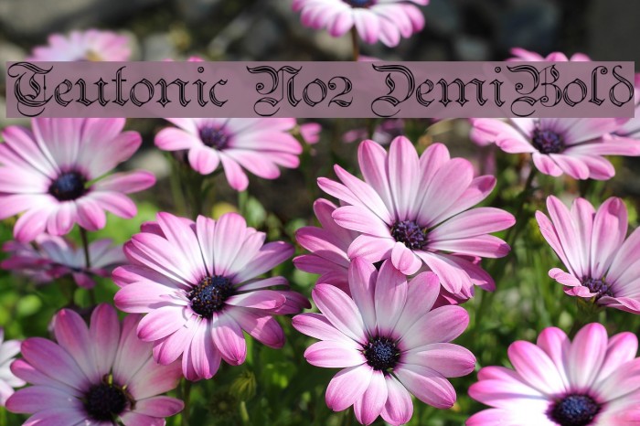 Teutonic No2 DemiBold Шрифта examples