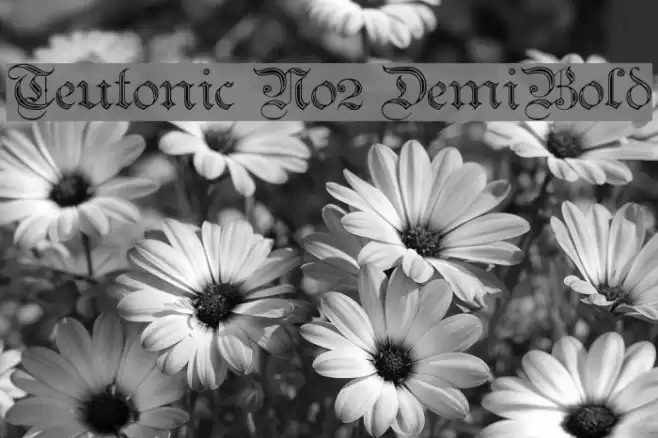 Teutonic No2 DemiBold Fonte examples