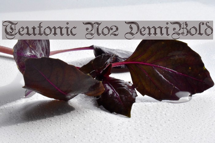 Teutonic No2 DemiBold Шрифта examples