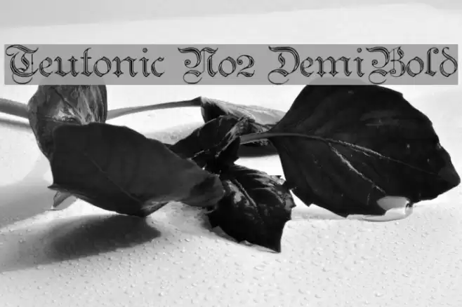 Teutonic No2 DemiBold Fonte examples
