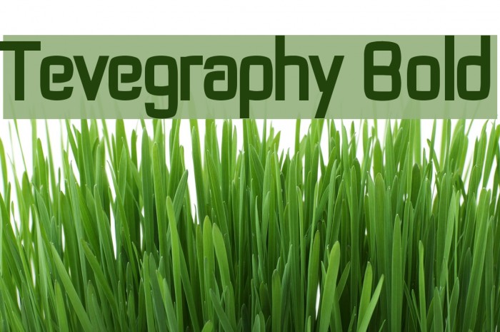 Tevegraphy Bold Font examples