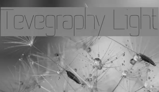 Tevegraphy Light Font examples