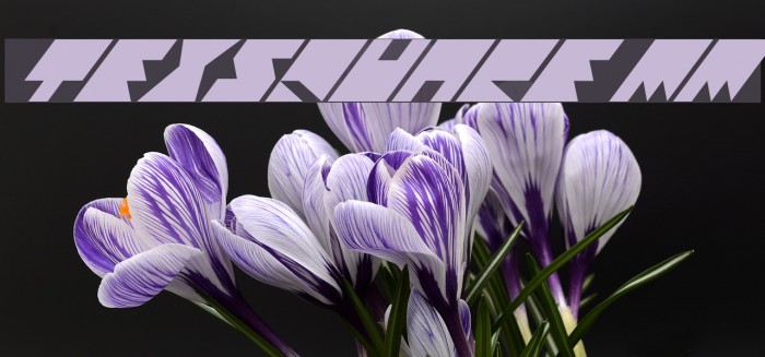 TexSquare MM Font examples