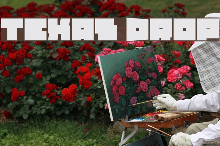 Texas Drop Example 2