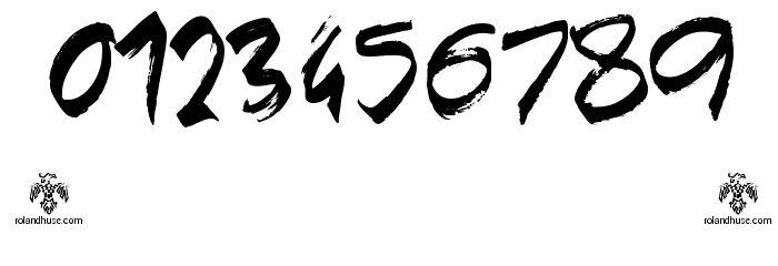 Texas Grunge Demo Font OTHER CHARS