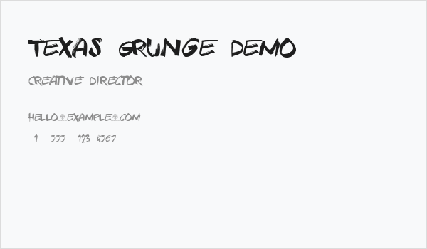 Texas Grunge Demo Business Card